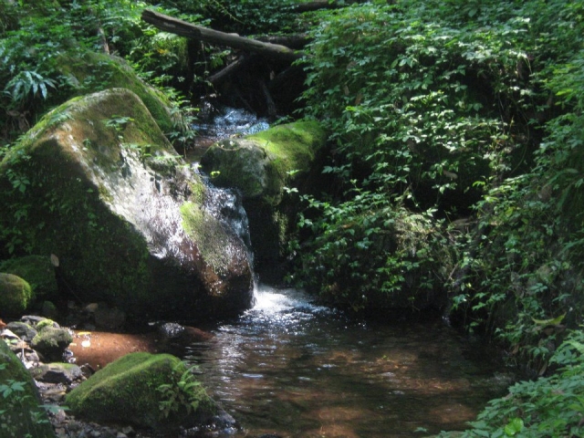 Caañada del Arroyo del Agua